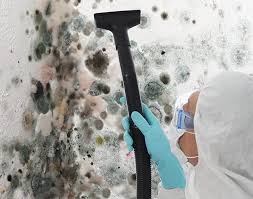 Mold Remediation